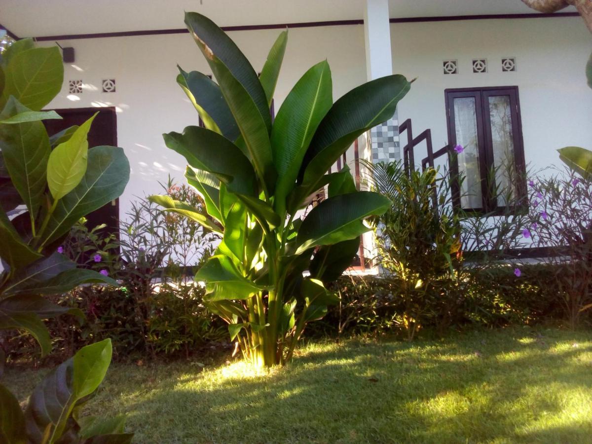 Ariata Arya Hostel Kuta  Dış mekan fotoğraf